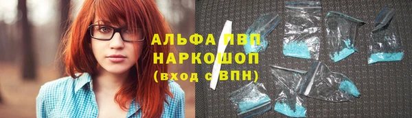 крисы Алзамай