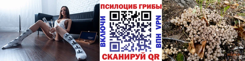 цена   KRAKEN ТОР  Галлюциногенные грибы Psilocybe  Тосно 