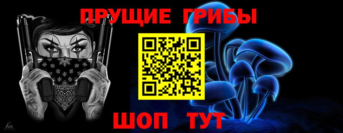 Псилоцибиновые грибы прущие грибы  Вход с VPN  Тосно  Псилоцибиновые грибы прущие грибы 
